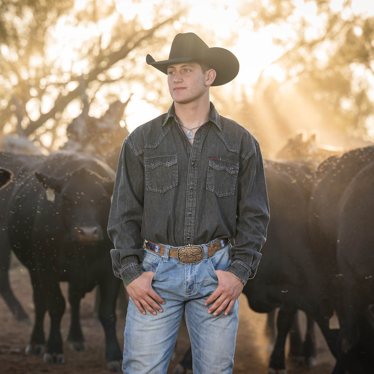 Man standing in front of black angus cattle wearing a men's pearl snap denim shirt with double western yoke and pearl snap chest pockets, in a dark wash.
