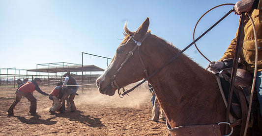 Person sitting on a horse while people rope a calf in the background on a ranch in Tell, Texas.