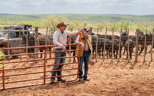 Stran T Smith and his father Grandale Smith leaning on a metal gate standing in front of their black angus cattle.
