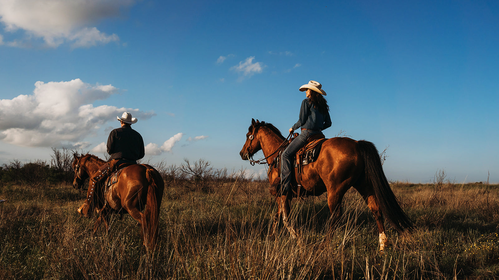 Shop STS Ranchwear's Clearance Markdowns