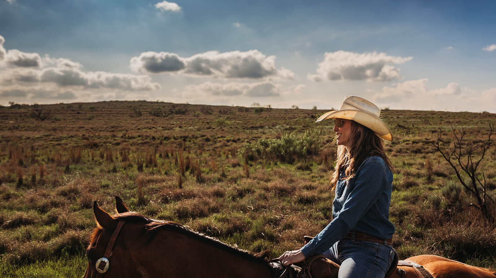Shop STS Ranchwear's Women's Tops