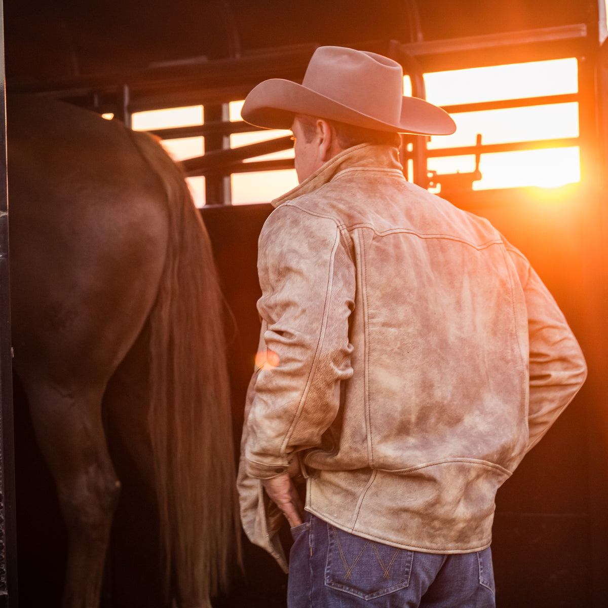 back of Stran Smith wearing our dappled dun beige leather jacket with front snap closure, two chest pockets, and hand warming pockets loading a horse into a trailer