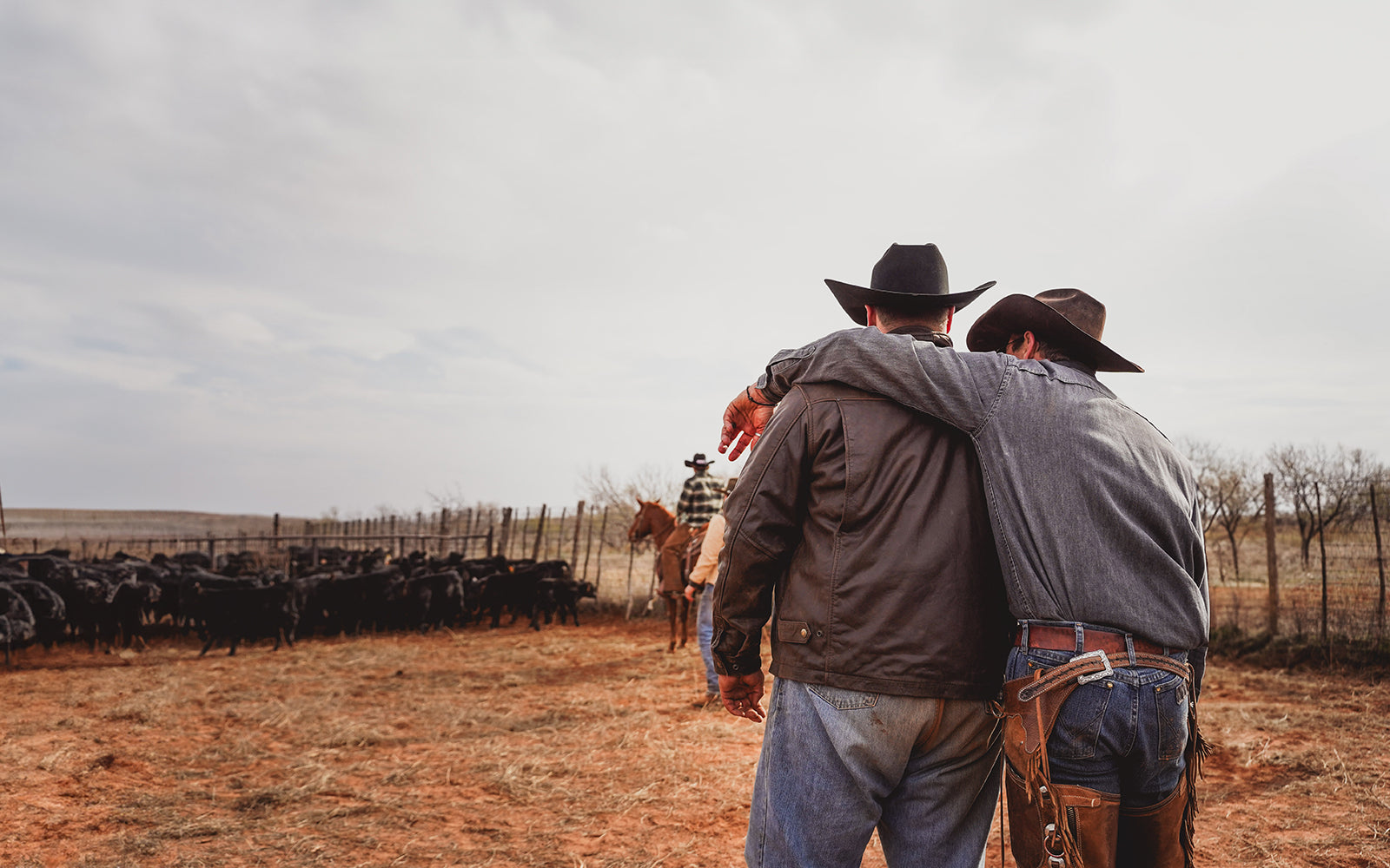 Two cowboys with their arms around each other in a field with cattle and a horse.